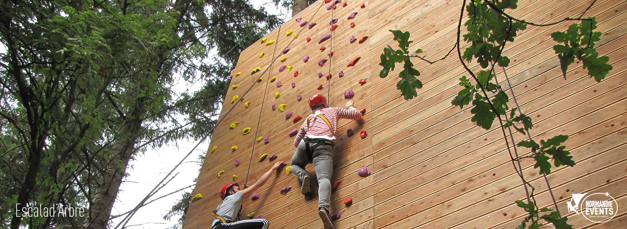 Mur d'escalade et escald'arbre à Biscarosse dans les Landes