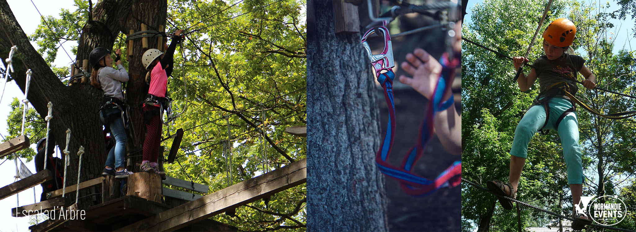 Activité Arborigrimpe - Escalad